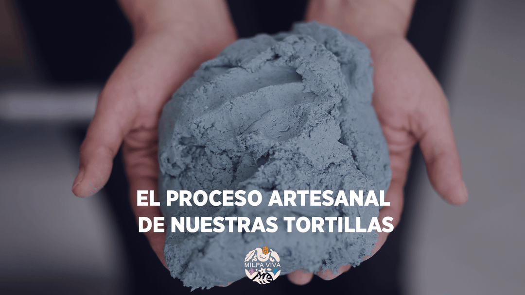 Del Metate al Comal: El Proceso Artesanal de Nuestras Tortillas