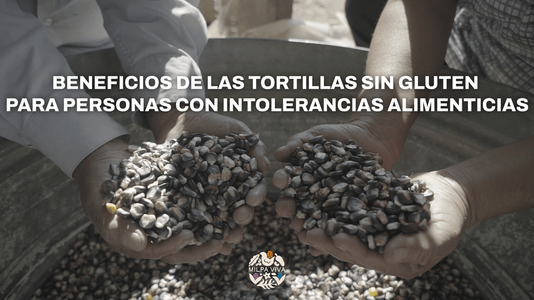 Beneficios de las tortillas sin gluten para personas con intolerancias alimenticias.