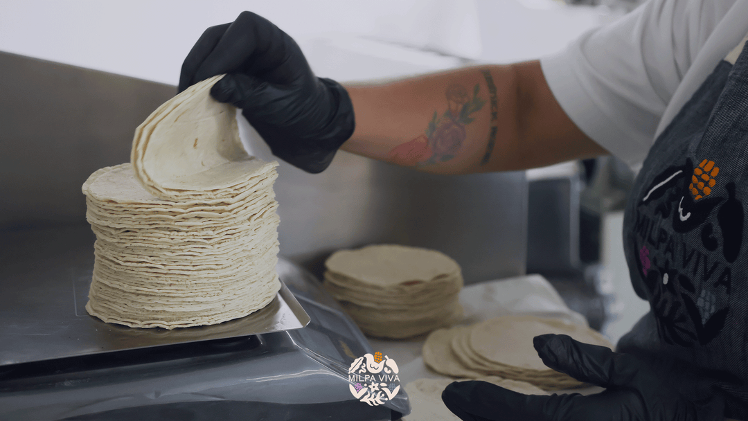 Iniciativas y Proyectos que Promueven el Maíz Criollo en México