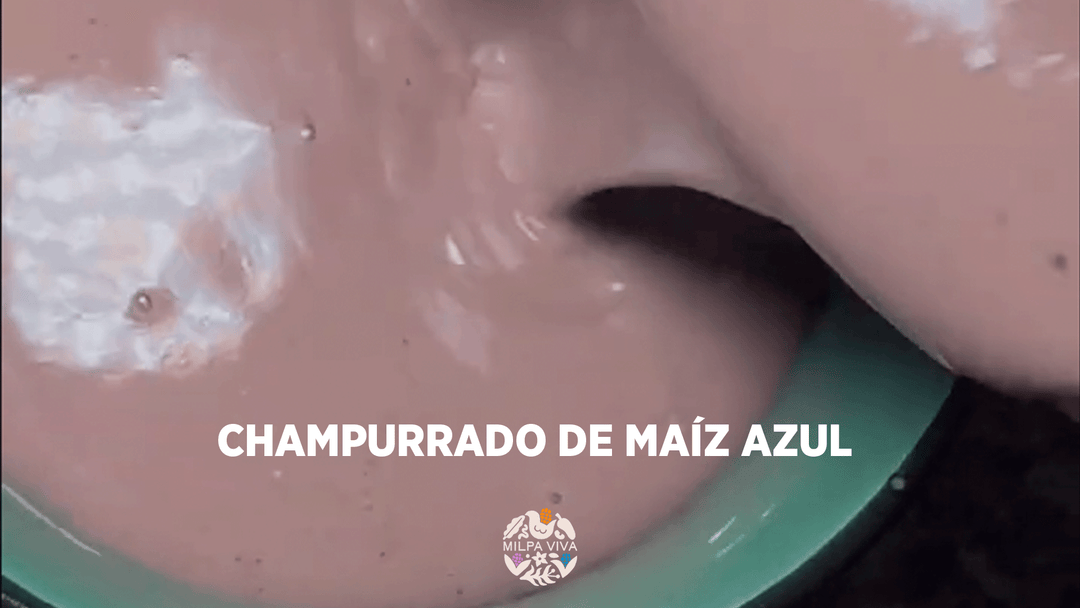 Champurrado de Maíz Azul: Calidez y Tradición en una Taza