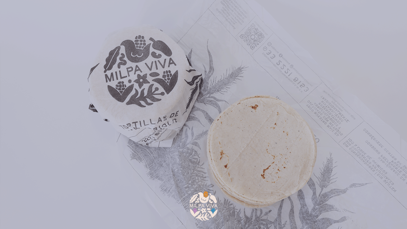 La Influencia del Maíz Criollo en la Cocina Mexicana Moderna: Una Fusión de Sabores