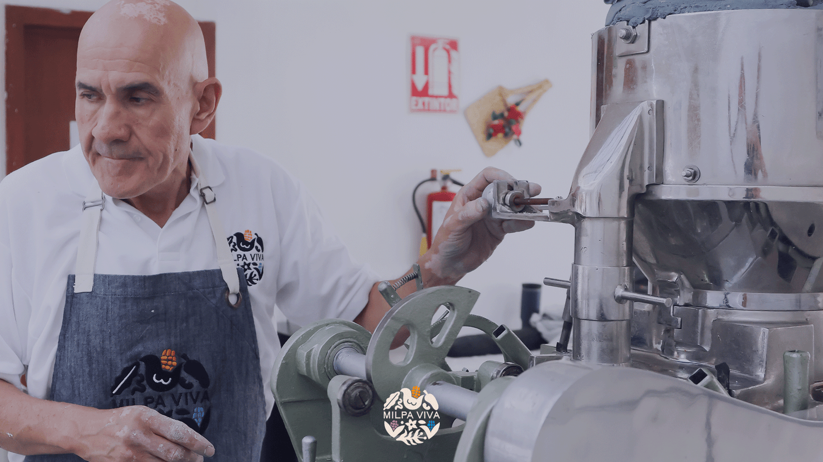 Cómo el Maíz Criollo Impulsa la Economía Local en México