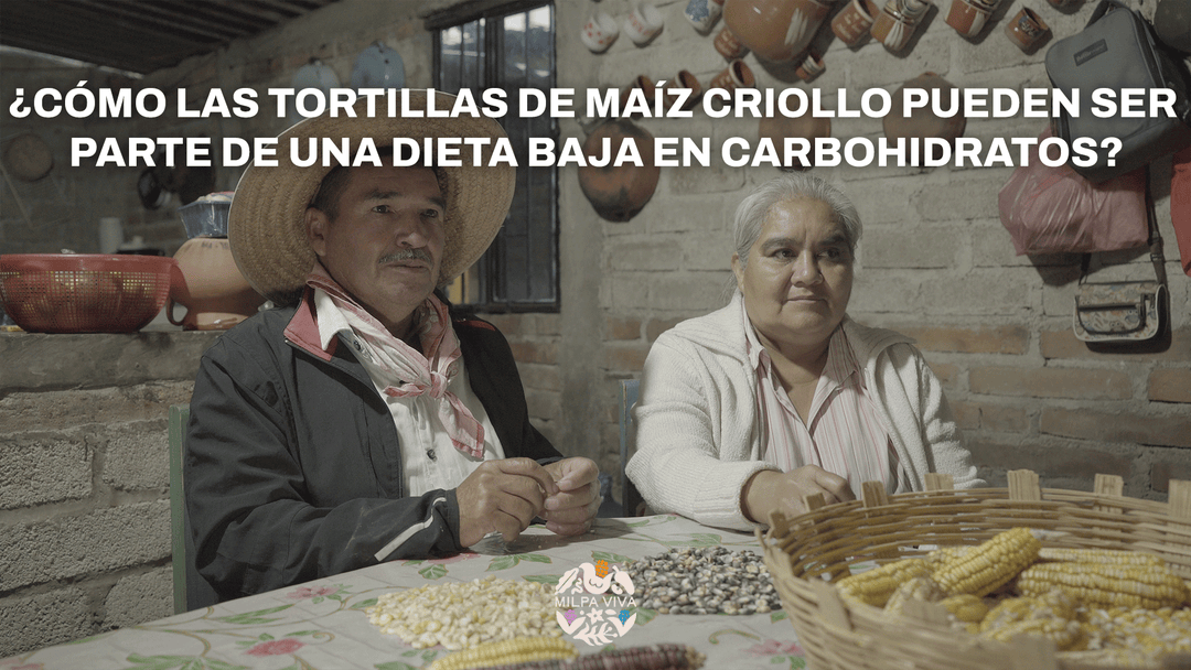 ¿Cómo las tortillas de maíz criollo pueden ser parte de una dieta baja en carbohidratos?