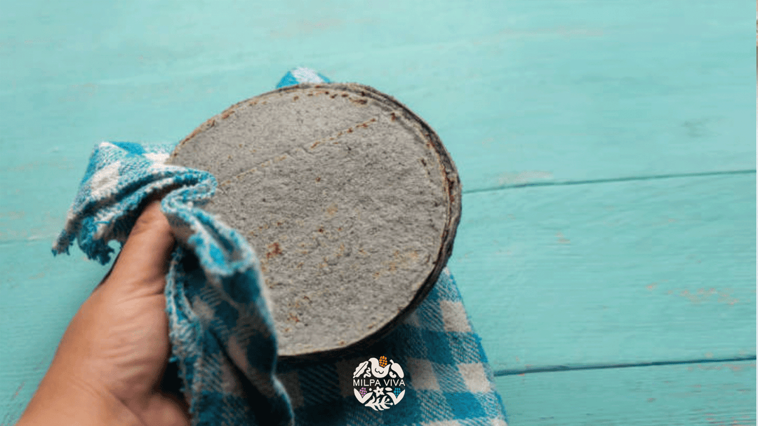 Fomentando un Estilo de Vida Saludable con Tortillas Azules