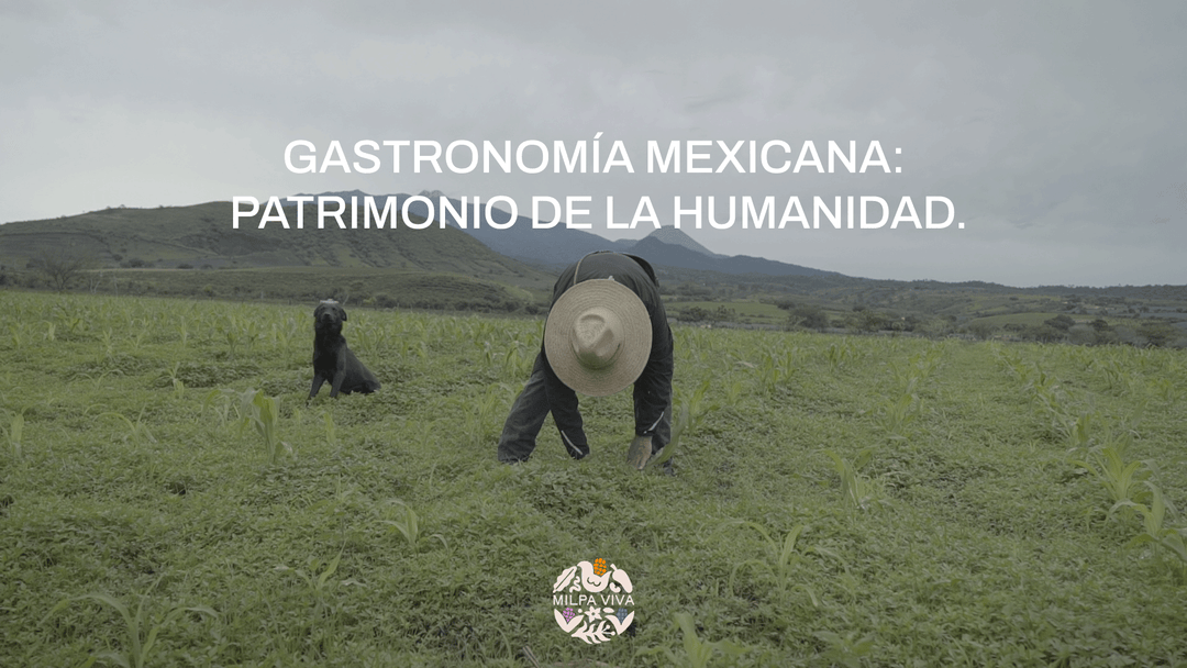 Gastronomía mexicana: Patrimonio de la humanidad