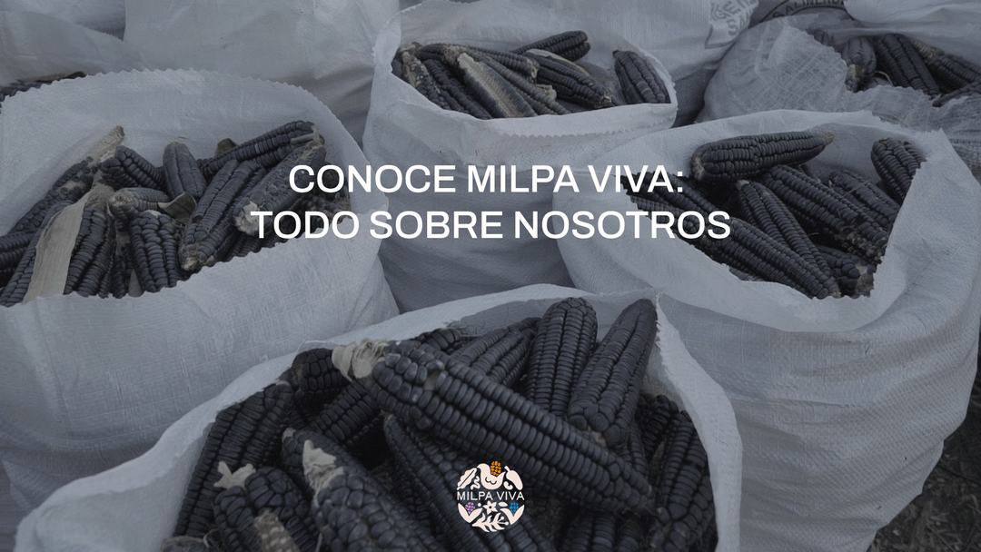 Conoce Milpa Viva: todo sobre nosotros