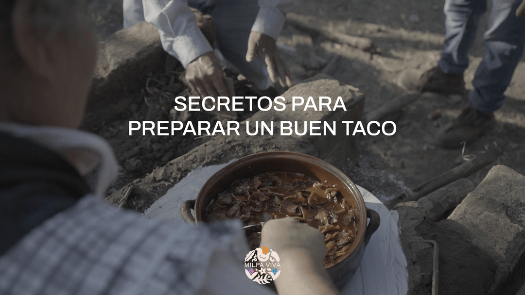 Secretos para preparar un buen taco