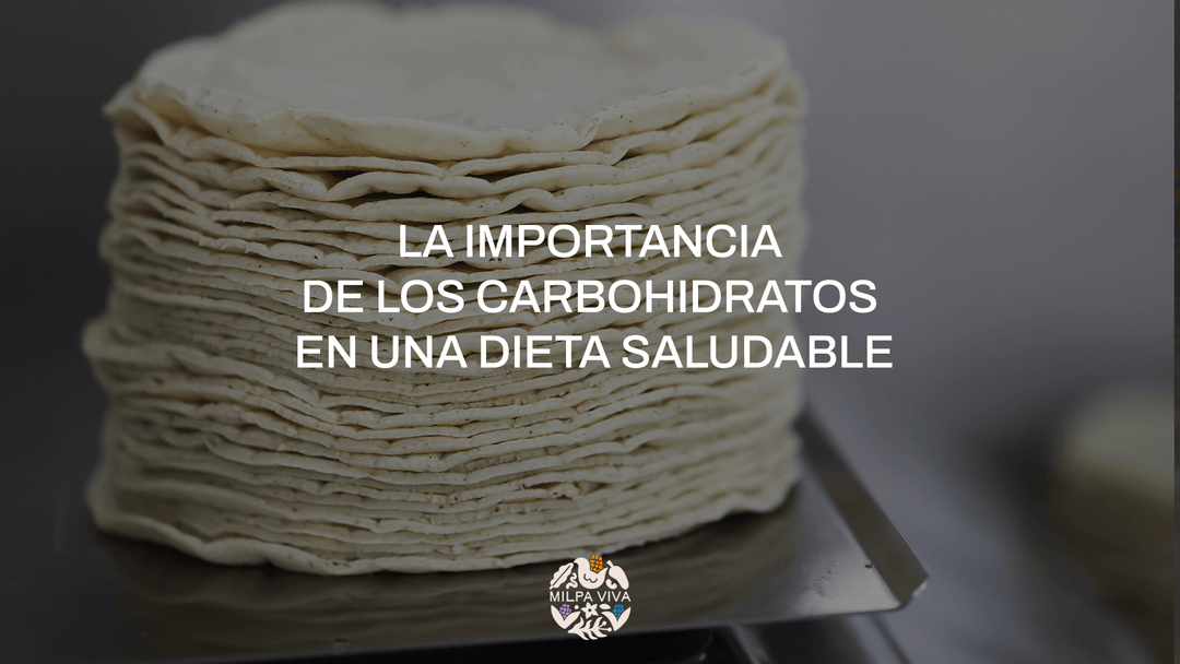 La importancia de los carbohidratos en una dieta saludable